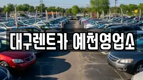 경북 예천군 호명읍 렌트카 전문 대구렌트카 예천영업소