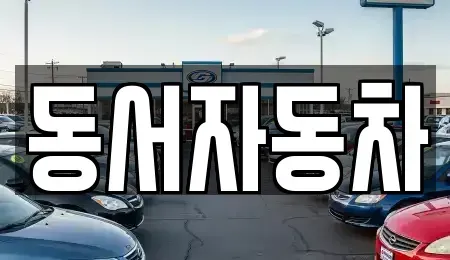 경북 포항시 북구 두호동 중고차 전문 동서자동차