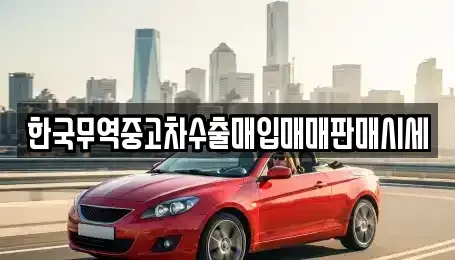 경북 포항시 북구 두호동 중고차매입 전문 한국무역중고차수출매입매매판매시세