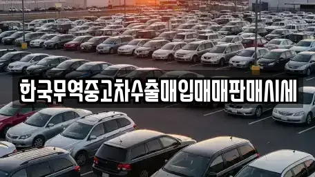 경상남도 진주시 남성동 중고차매매 전문 한국무역중고차수출매입매매판매시세