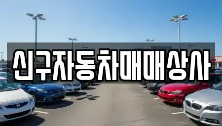 경상남도 진주시 진성면 중고차매매 전문 신구자동차매매상사