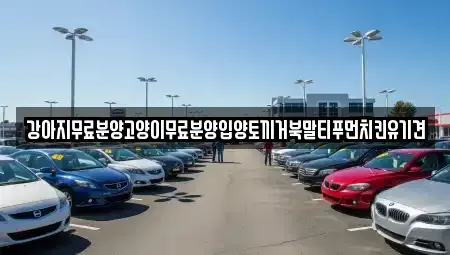경상남도 창원시 마산합포구 신창동 중고차매입 전문 강아지무료분양고양이무료분양입양토끼거북말티푸먼치킨유기견