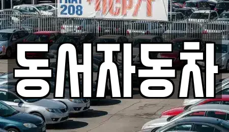 경상남도 창원시 마산합포구 월영동 중고차 전문 동서자동차