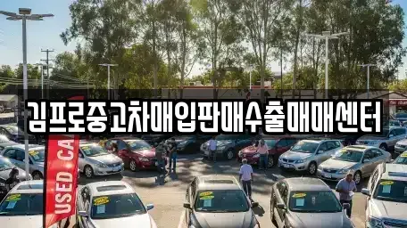 경상남도 창원시 마산합포구 월영동 중고차매입 전문 김프로중고차매입판매수출매매센터