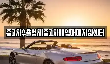 경상남도 창원시 마산합포구 월영동 중고차매입 전문 중고차수출업체중고차매입매매지원센터