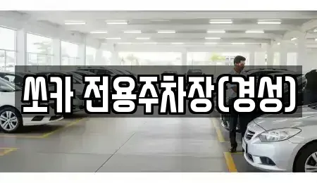 경상북도 경주시 노서동 렌트카 전문 쏘카 전용주차장(경성)