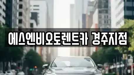 경상북도 경주시 노서동 렌트카 전문 에스엔비오토렌트카 경주지점
