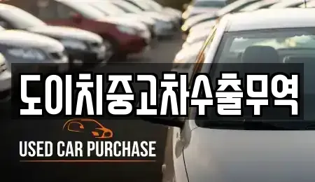 경상북도 경주시 노서동 중고차매매 전문 도이치중고차수출무역