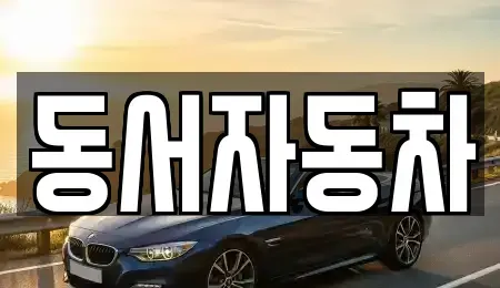 경상북도 경주시 노서동 중고차매매 전문 동서자동차