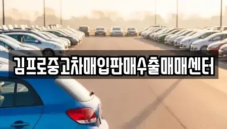 경상북도 경주시 노서동 중고차매입 전문 김프로중고차매입판매수출매매센터