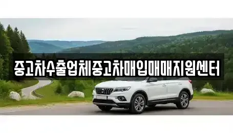 경상북도 경주시 노서동 중고차매입 전문 중고차수출업체중고차매입매매지원센터