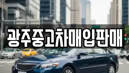광주 남구 석정동 중고차매입 전문 광주중고차매입판매
