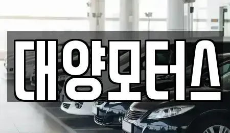 광주광역시 광산구 신촌동 중고차매매 전문 대양모터스