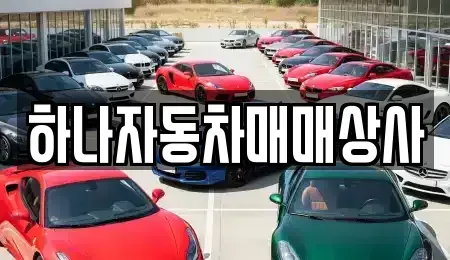 광주광역시 남구 이장동 중고차매매 전문 하나자동차매매상사