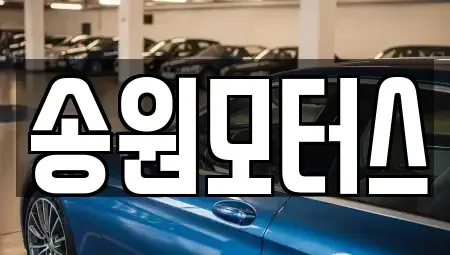 광주광역시 남구 이장동 중고차매입 전문 송원모터스
