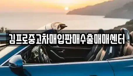대구 북구 칠성동2가 중고차매입 전문 김프로중고차매입판매수출매매센터