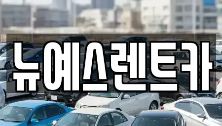 대구 수성구 만촌동 렌트카 전문 뉴예스렌트카