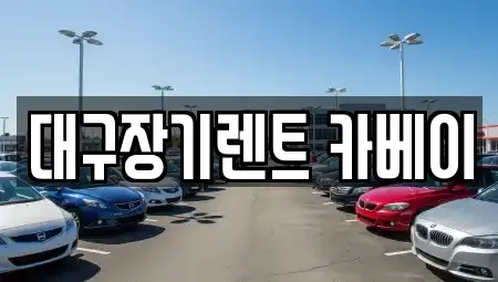 대구 수성구 만촌동 장기렌트카 전문 대구장기렌트 카베이
