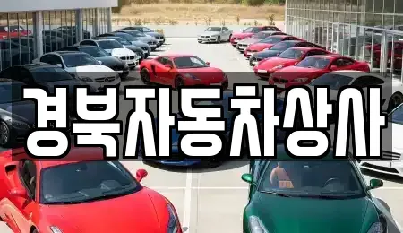 대구 수성구 만촌동 중고차매매 전문 경북자동차상사