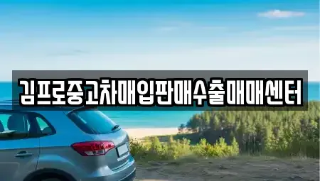 대구 수성구 만촌동 중고차매입 전문 김프로중고차매입판매수출매매센터