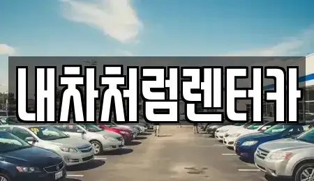 대구 중구 삼덕동1가 렌트카 전문 내차처럼렌터카