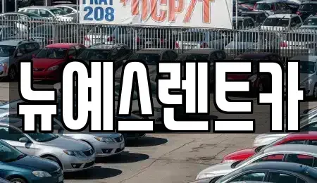 대구 중구 삼덕동1가 렌트카 전문 뉴예스렌트카