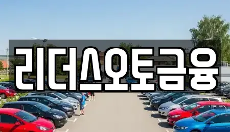 대구 중구 삼덕동1가 장기렌트카 전문 리더스오토금융