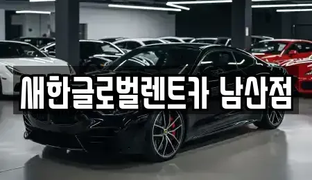 대구 중구 삼덕동1가 장기렌트카 전문 새한글로벌렌트카 남산점