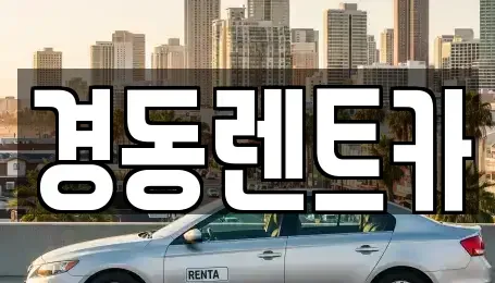 대구 중구 삼덕동3가 렌트카 전문 경동렌트카