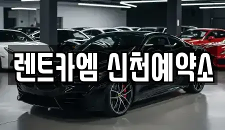 대구 중구 삼덕동3가 렌트카 전문 렌트카엠 신천예약소