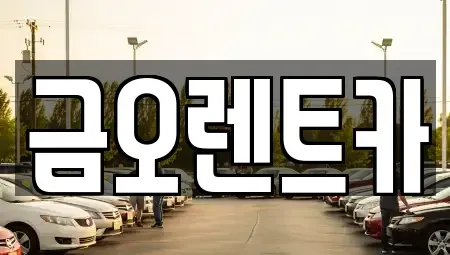 대구 중구 수동 장기렌트카 전문 금오렌트카