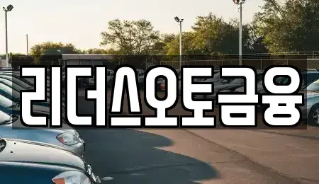 대구 중구 하서동 렌트카 전문 리더스오토금융