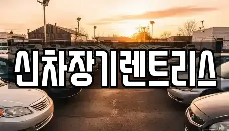 대구 중구 하서동 렌트카 전문 신차장기렌트리스