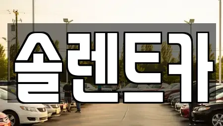 대구광역시 북구 칠성동1가 장기렌트카 전문 솔렌트카