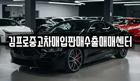 대구광역시 북구 칠성동1가 중고차매입 전문 김프로중고차매입판매수출매매센터