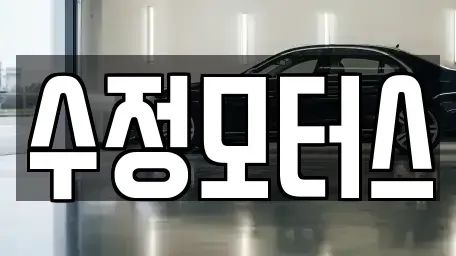 대전 유성구 신동 중고차 전문 수정모터스