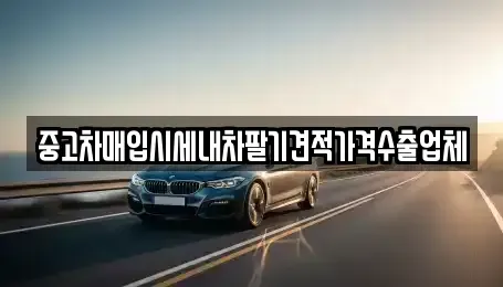 대전 유성구 용계동 중고차매입 전문 중고차매입시세내차팔기견적가격수출업체