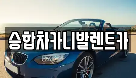 대전 중구 구완동 렌트카 전문 승합차카니발렌트카