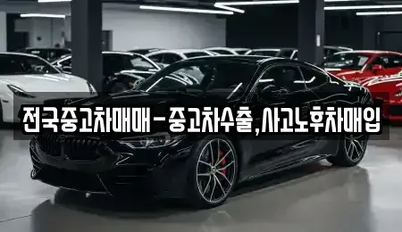 대전 중구 구완동 중고차 전문 전국중고차매매-중고차수출,사고노후차매입