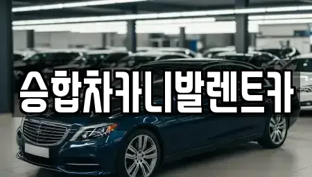 대전광역시 동구 효평동 렌트카 전문 승합차카니발렌트카