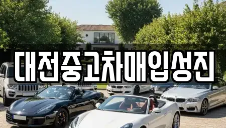 대전광역시 서구 용문동 중고차매매 전문 대전중고차매입성진