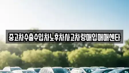 대전광역시 서구 용문동 중고차매매 전문 중고차수출수입차노후차사고차량매입매매센타