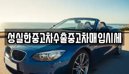 대전광역시 서구 용문동 중고차매입 전문 성실한중고차수출중고차매입시세