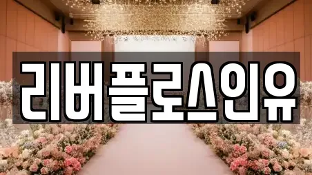 리버플로스인유