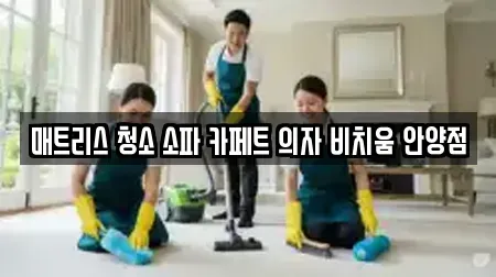 매트리스 청소 소파 카페트 의자 비치움 안양점