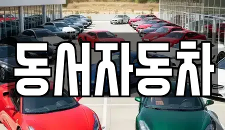 부산 영도구 중고차 전문 동서자동차