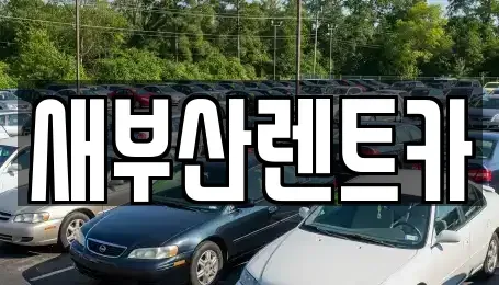 부산 중구 신창동1가 렌트카 전문 새부산렌트카
