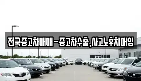 부산 중구 신창동1가 중고차 전문 전국중고차매매-중고차수출,사고노후차매입