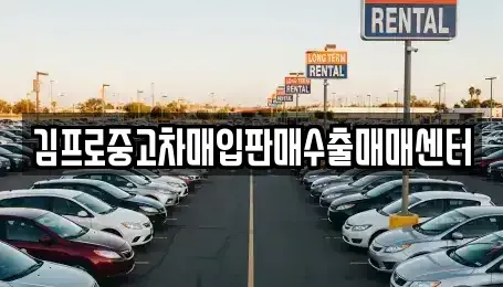 부산 중구 신창동1가 중고차매입 전문 김프로중고차매입판매수출매매센터