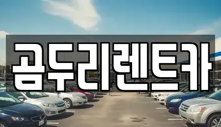 부산광역시 강서구 대저1동 렌트카 전문 곰두리렌트카